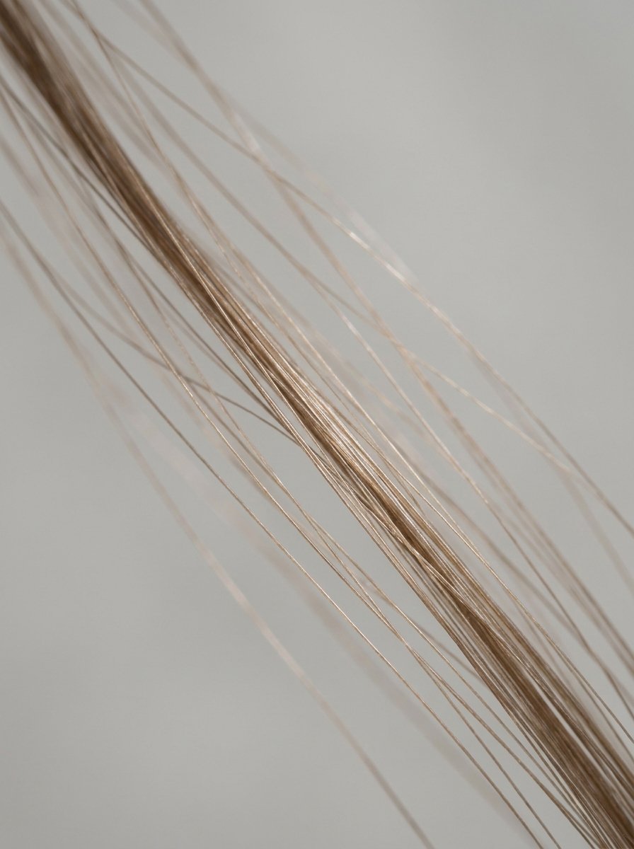 A diagonal arrangement of fine, light brown hair strands set against a solid neutral background.